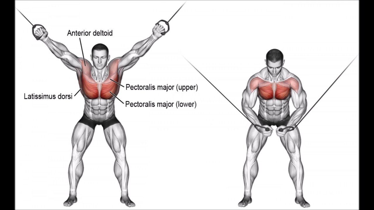 Unveiling the Top 10 Best Side Delt Exercises