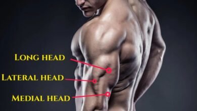 10 Must-Try Exercises for Triceps Medial Head