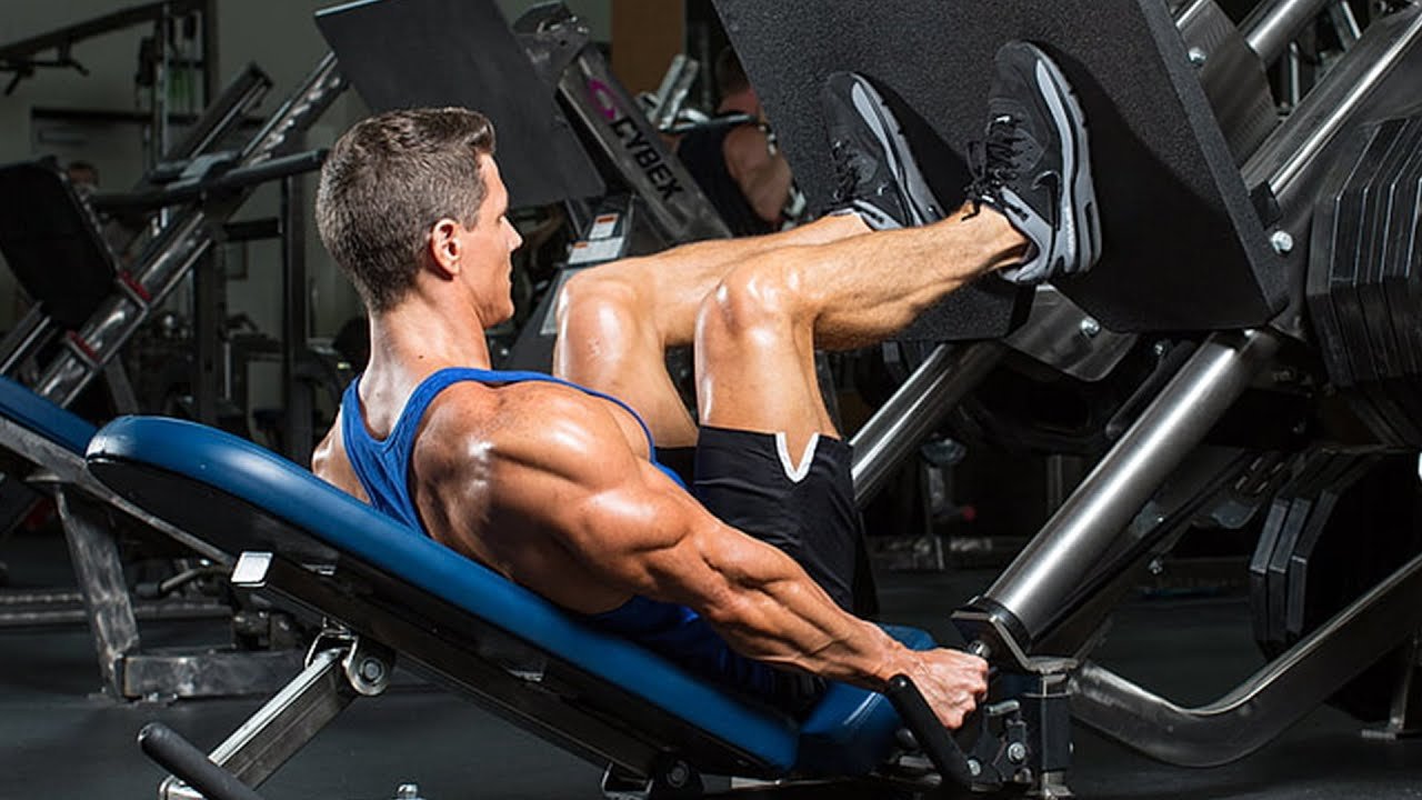 The Ultimate Legs and Back Workout Playlist