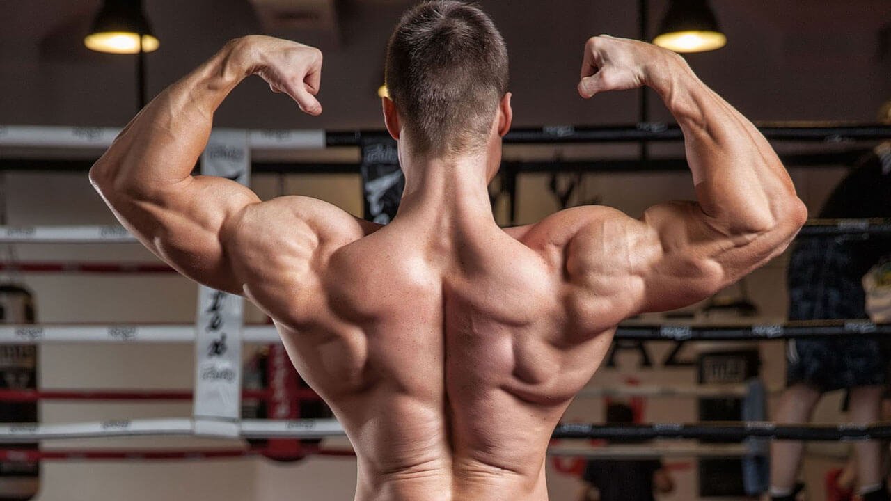 Best Back Exercises Chart for Ultimate Strength