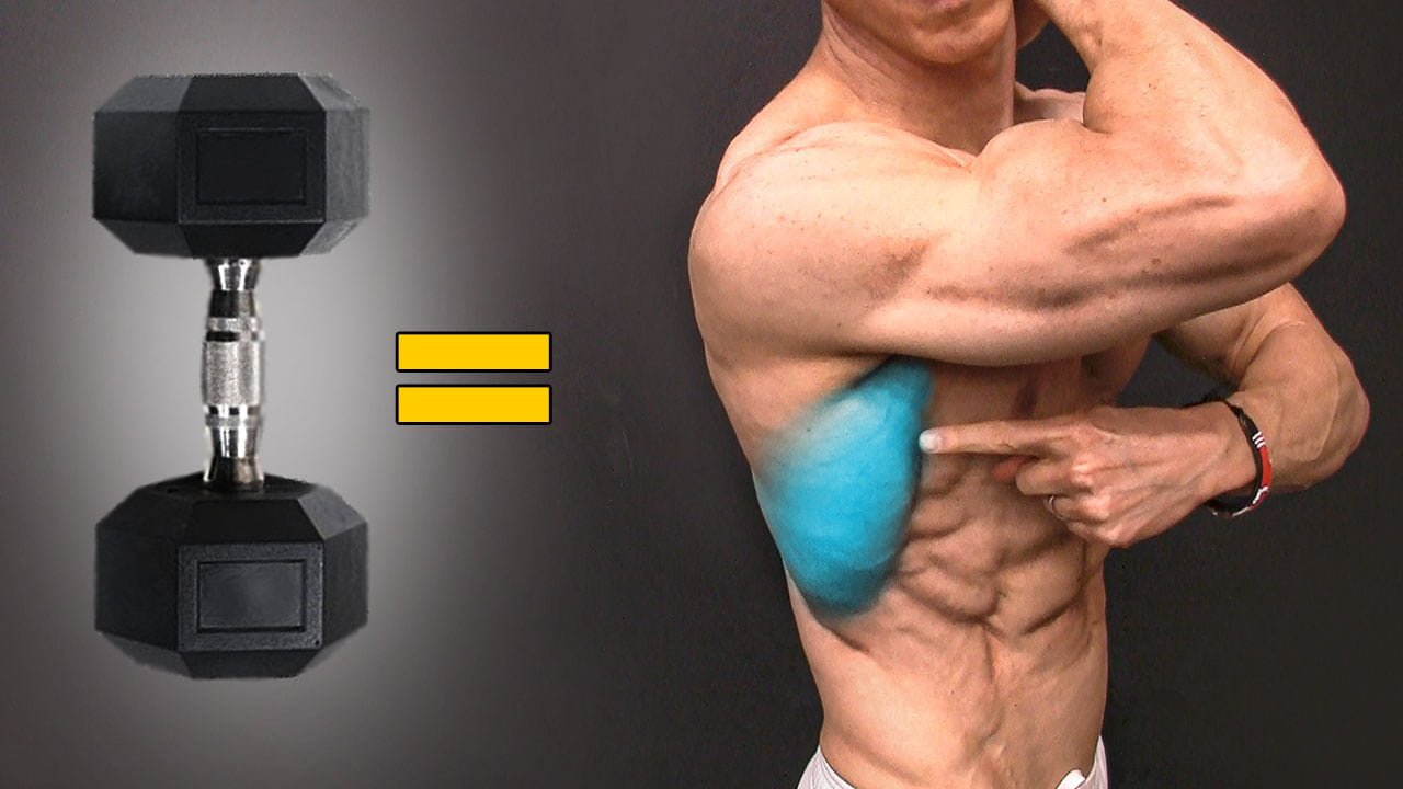 Best Back Exercises Chart for Ultimate Strength