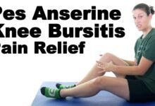Pes Anserine Bursitis Exercises | Useful Routine Solutions