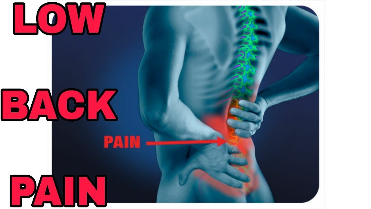 Vertebrogenic Low Back Pain | Causes, Symptoms, Treatment