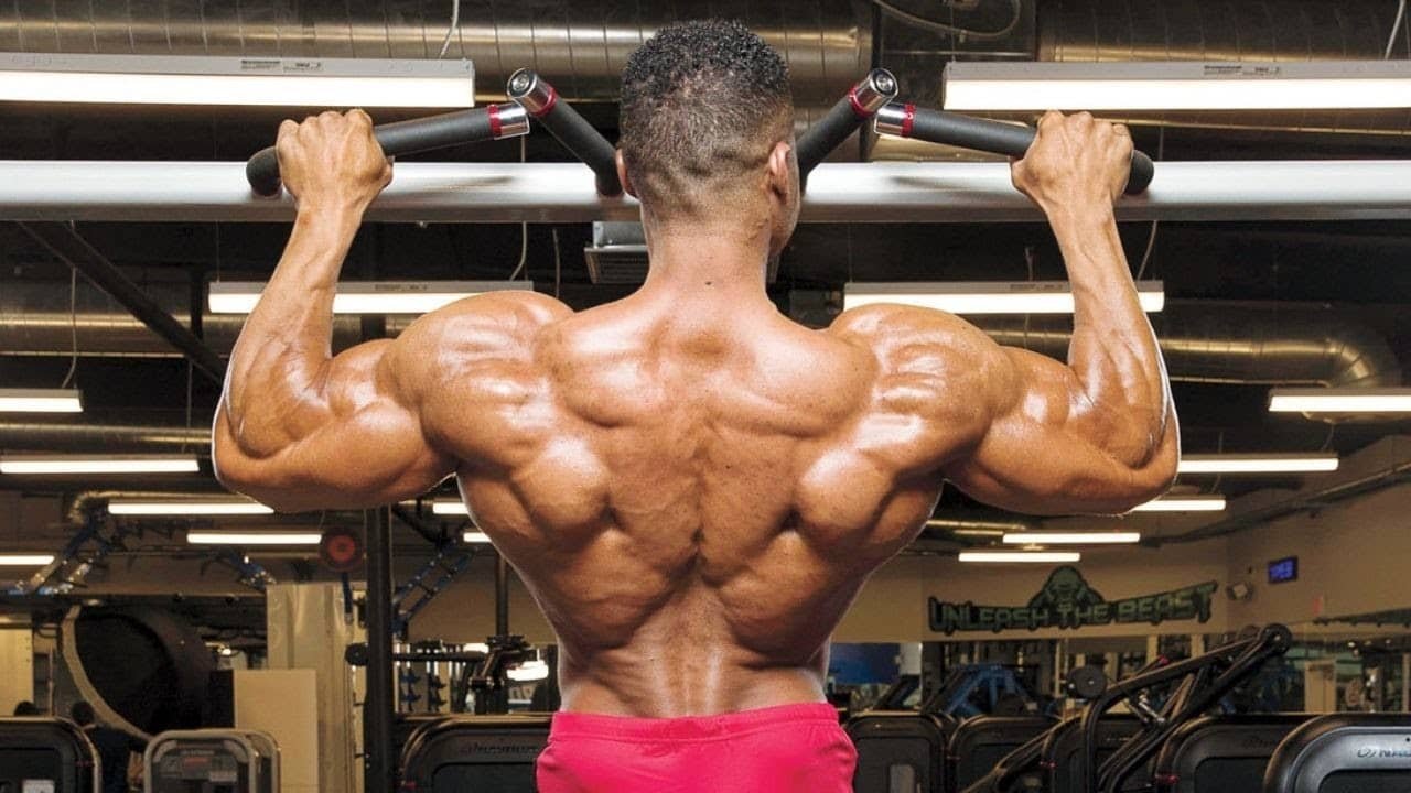 Top Vertical Pull Exercises for Strength